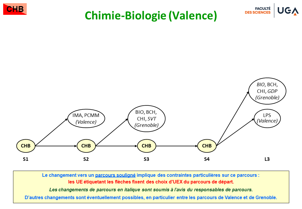 CHB-V