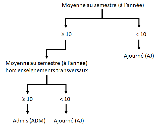 Double moyenne